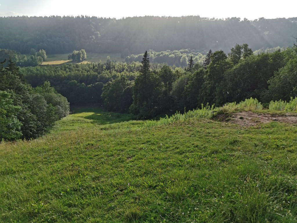 Vaade rohelisele metsasele orule ja küngastele suure pilvise taeva all.