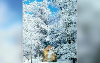 Toonitud loodus ehk kurvade paevade lopp