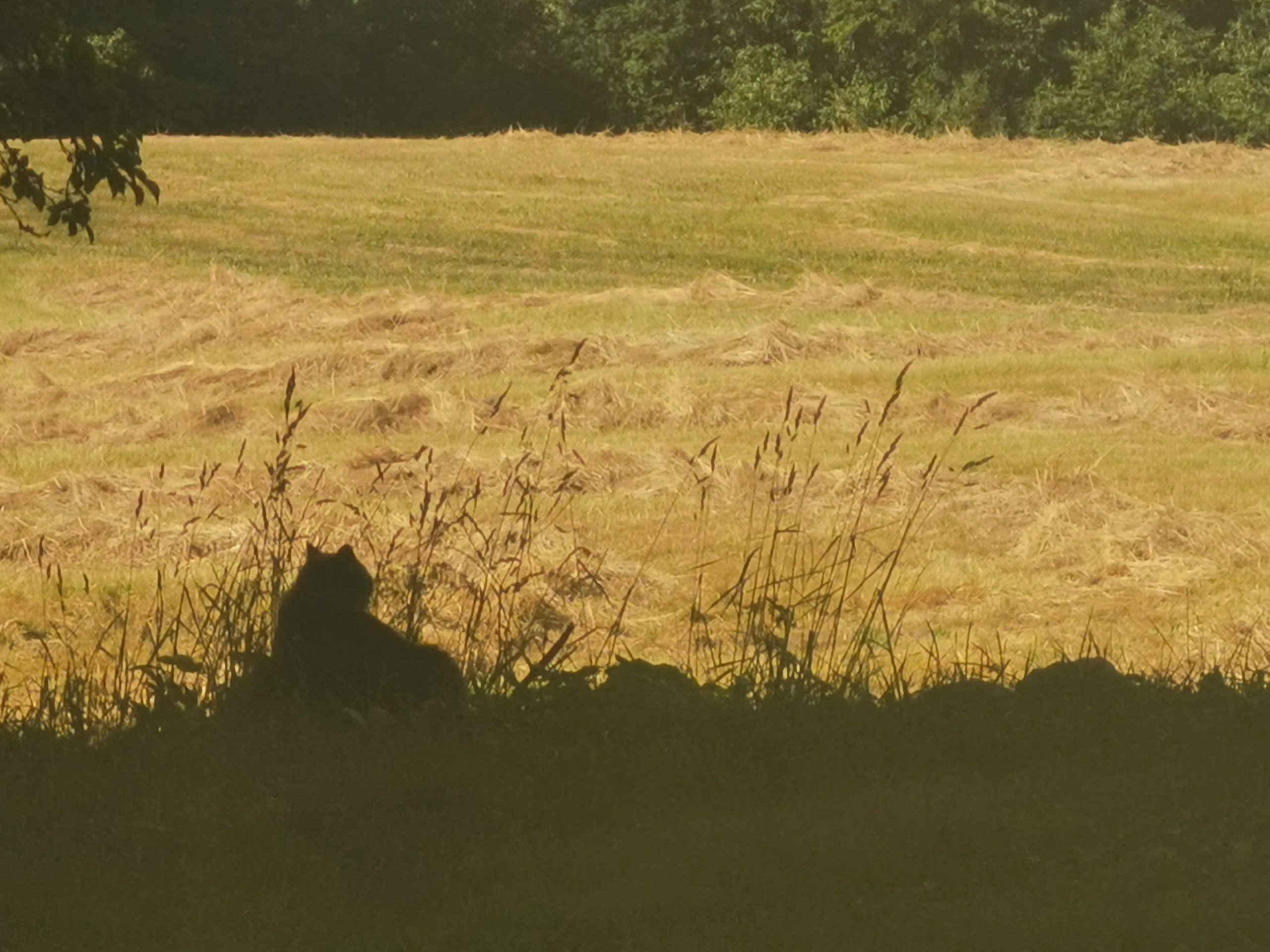 varivalgusprints scaled