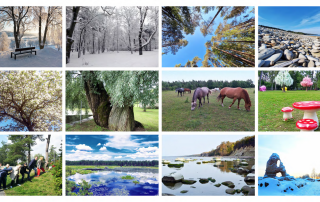 Kollaz pildid 2024 1