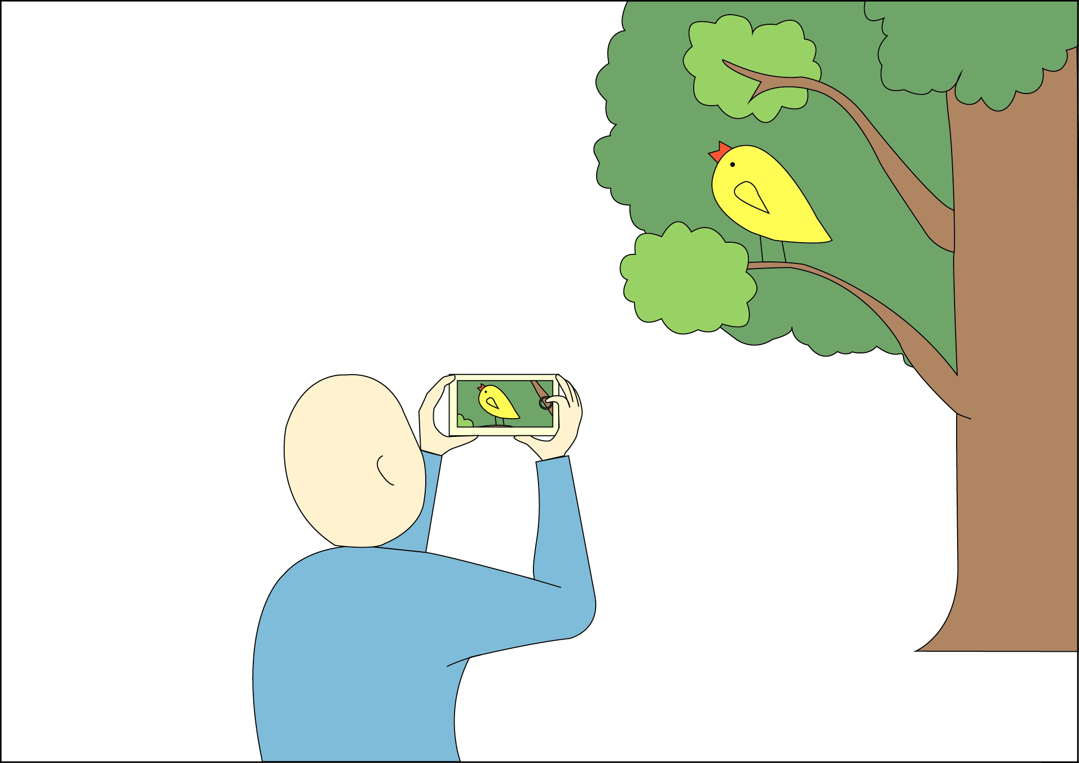 landscape-pilti landscape pilti 1